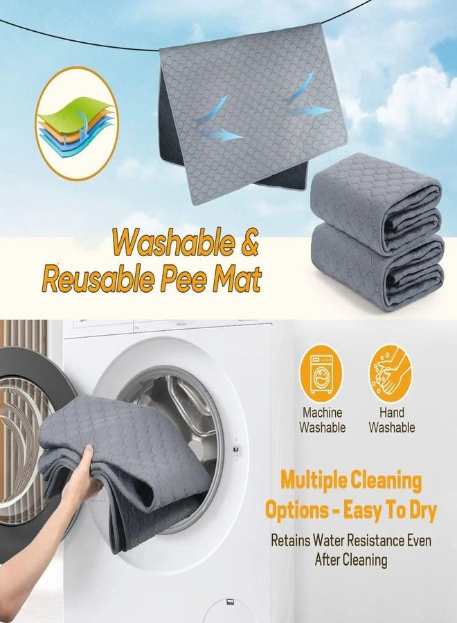 PET FUN Washable Pee Pads for Dogs - Reusable, High-Absorption, Leakproof Training Pads for Puppies & Senior Dogs | Multi-Purpose Dog Pee Mat (Pack of 2, 60x90cm) - Image 3